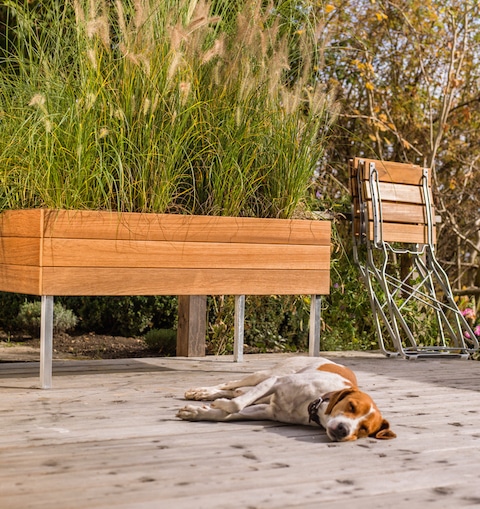 Pflanzeninsel von Weishäupl und Hund auf Terrasse