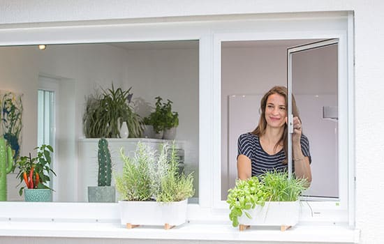 Verkauf und Einbau von Insektenschutzrollos von Seeckts Bauelemente in Göttingen